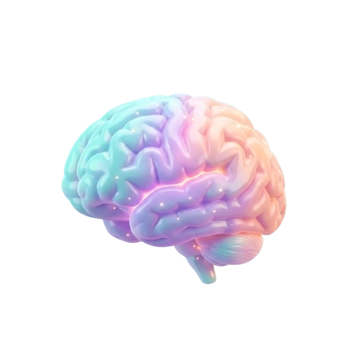 Brain